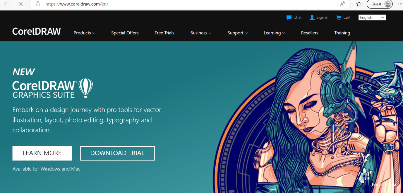 Illustrator vs CorelDRAW Comparación detallada Recurso Wordpress
