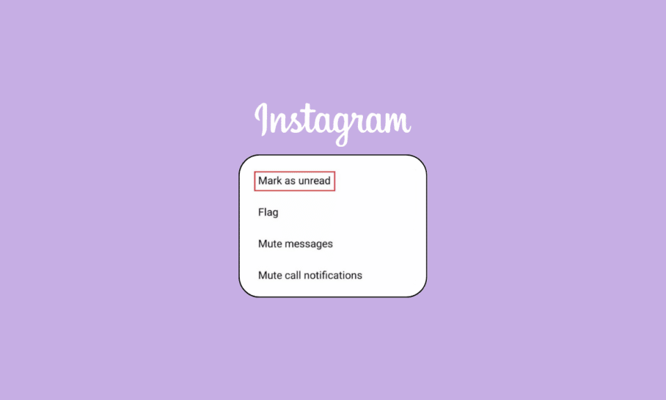 Cómo dejar de leer mensajes en una cuenta privada de Instagram