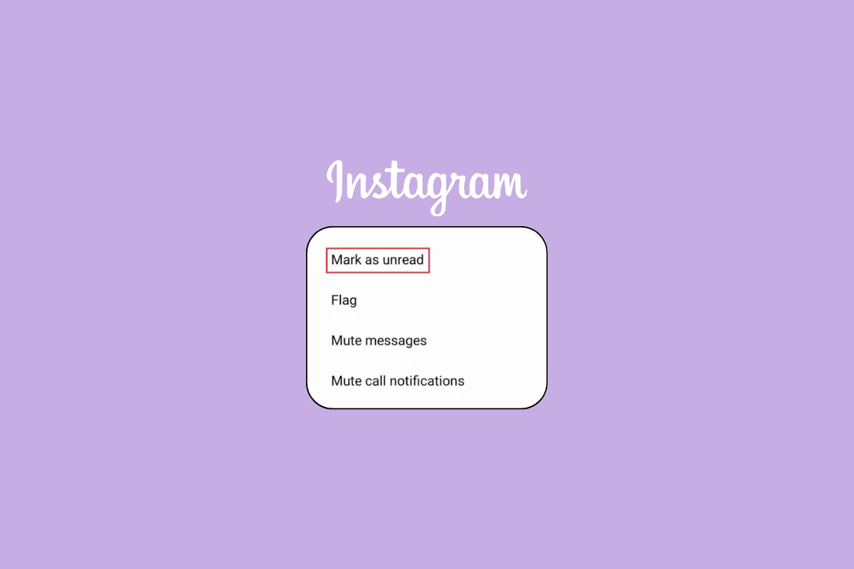 Cómo dejar de leer mensajes en una cuenta privada de Instagram