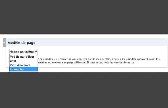 Captura de pantalla: selección del modelo de foro