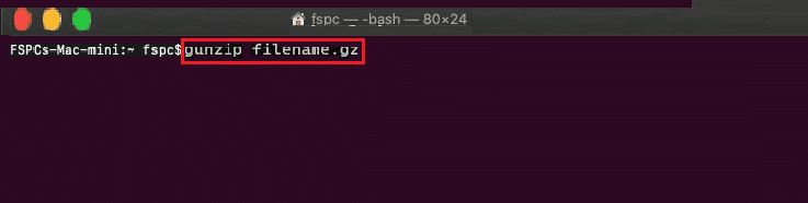 gunzip filename.gz mac terminal comando