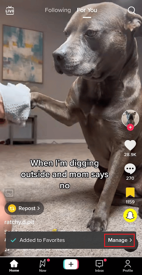 en Administrar para ver todos tus videos TikTok favoritos marcados
