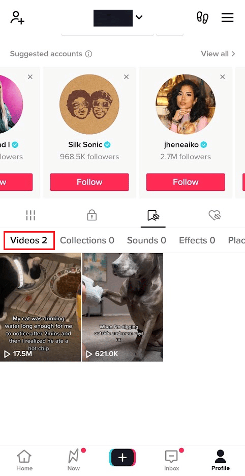 Haga clic en la pestaña Videos para ver sus videos favoritos de TikTok