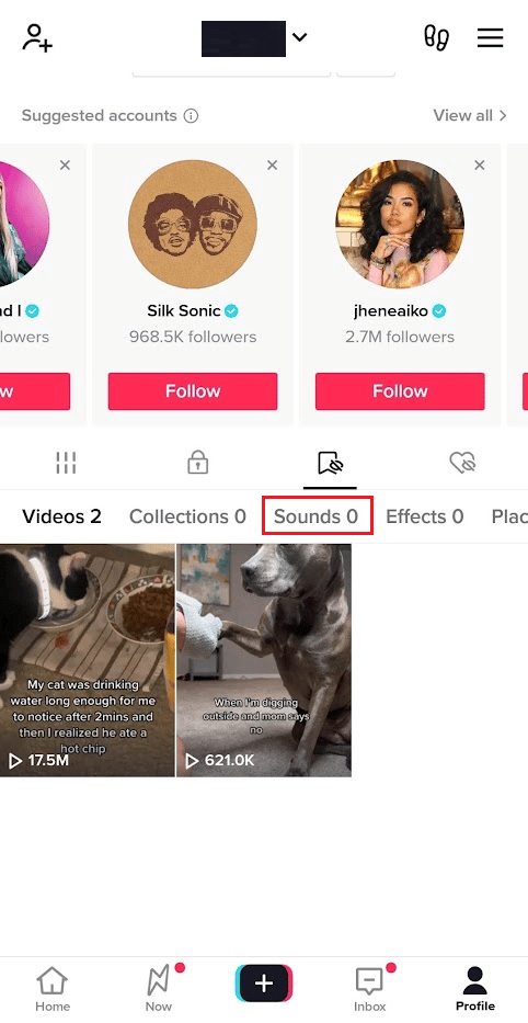 Cambie a la pestaña Sonidos en la sección Marcadores para ver los sonidos guardados favoritos |  Cómo ver favoritos en TikTok PC
