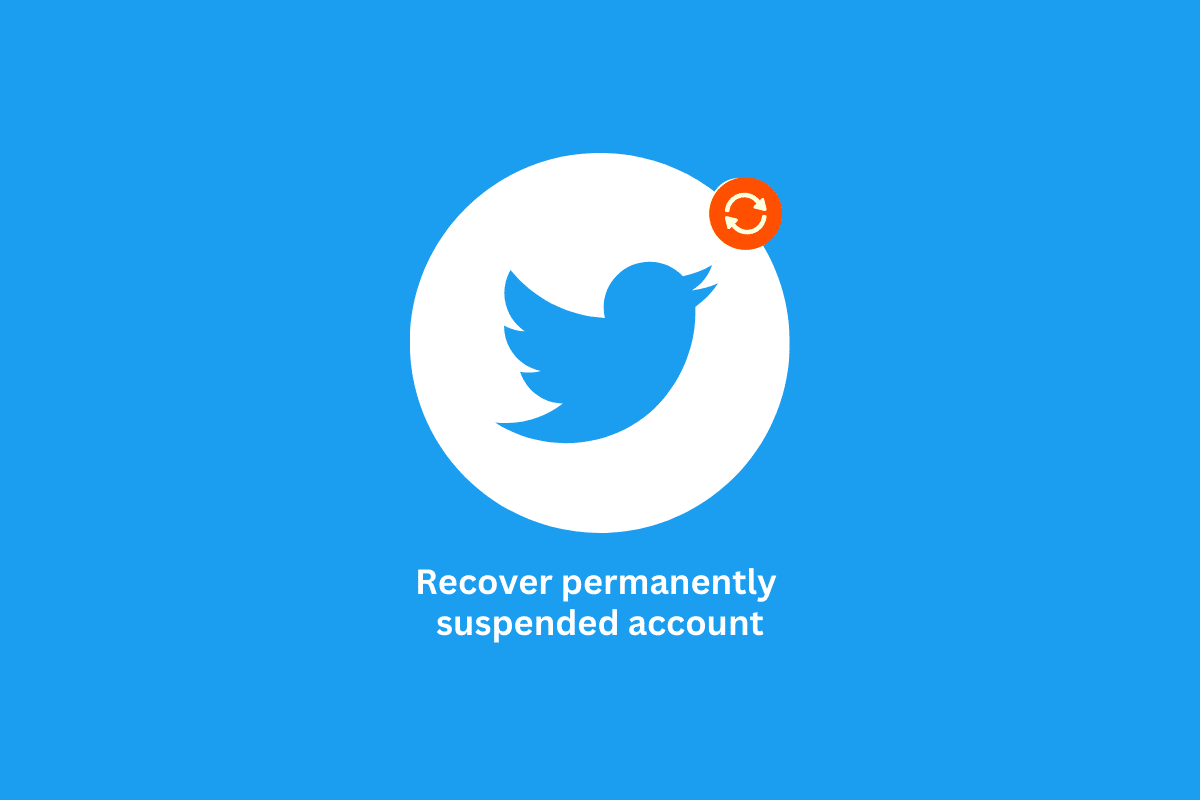 Cómo recuperar una cuenta de Twitter suspendida permanentemente