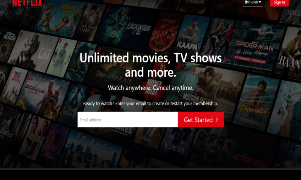 Nuevas reglas de Netflix