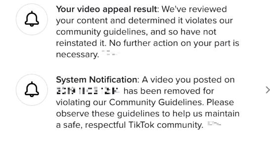 ¿Violaste las Pautas de la comunidad de TikTok?
