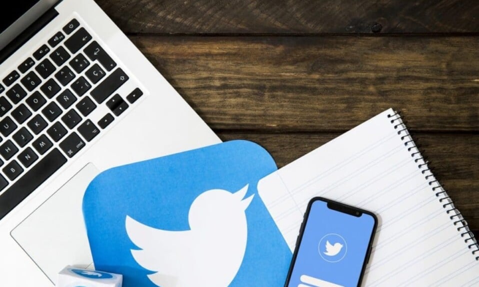 Twitter ahora puede seguir de forma predeterminada la línea de tiempo