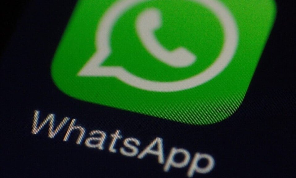 WhatsApp lanza nueva actualización de Android