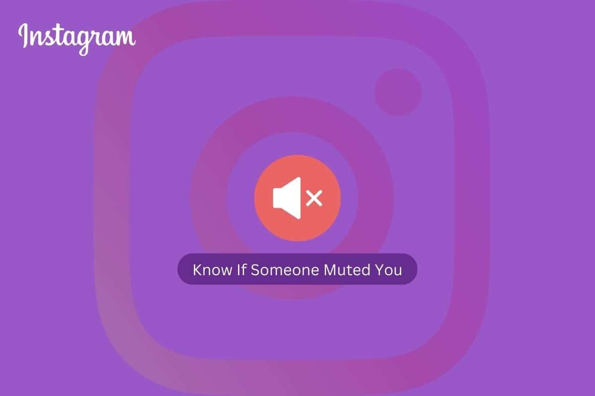 Cómo saber si alguien te silenció en Instagram