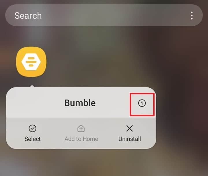 Seleccione Información de la aplicación.  10 formas de arreglar Bumble atascado en la pantalla de carga