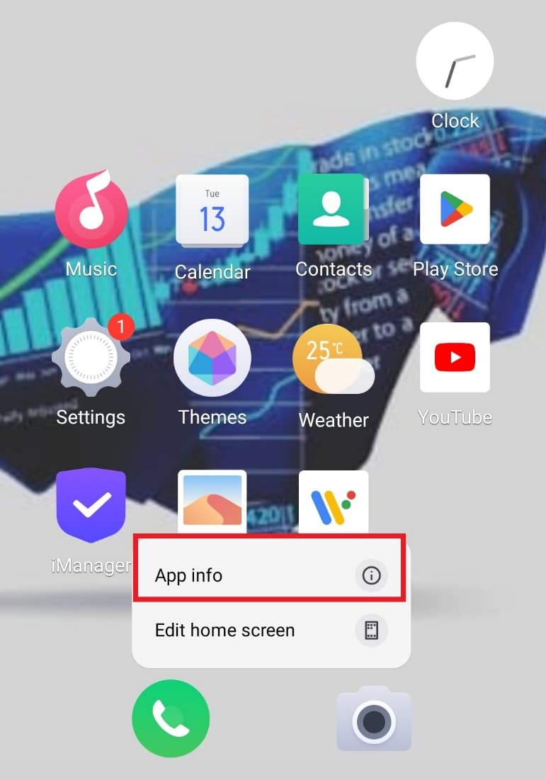 Selecciona Información de la aplicación.  10 formas de arreglar el código QR de la cámara de Android que no funciona 