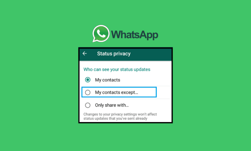 Cómo ocultar su estado de WhatsApp de contactos específicos