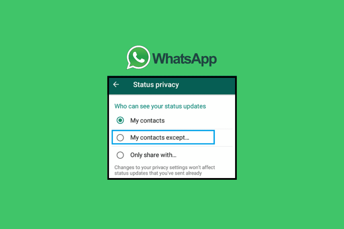 Cómo ocultar su estado de WhatsApp de contactos específicos