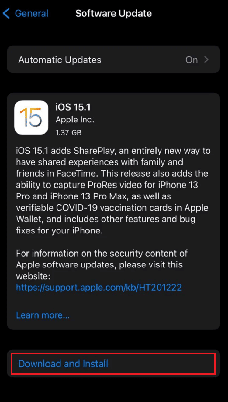 Toque la opción Descargar e instalar |  Cómo arreglar los filtros de Snapchat que no funcionan en iPhone