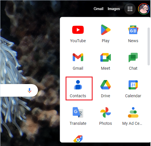 haga clic en la opción Contactos de Google