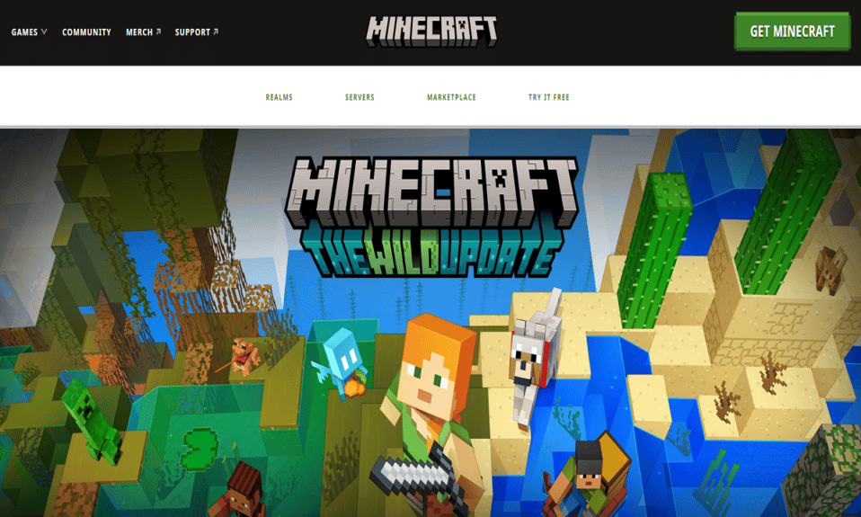 Enorme sistema de carreteras creado por Minecraft Player