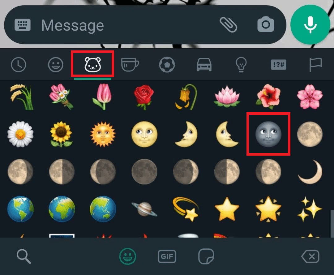 Ícono de emoji del cuadro de chat - Pestaña de emoji de animales - emoji de luna negra
