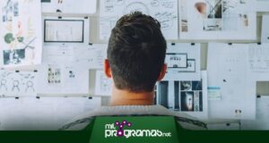 tipos de diseñadores
