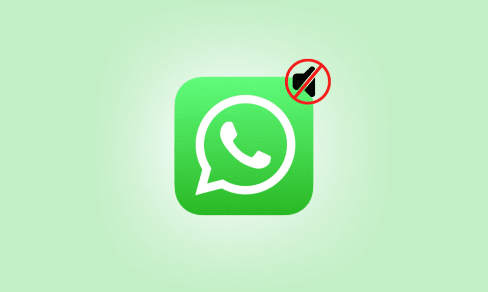 Cómo saber si alguien te silenció en WhatsApp