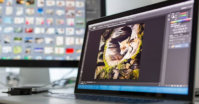Edición de fotos gratis