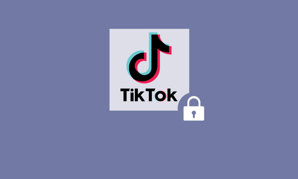Cómo cambiar la contraseña de TikTok sin número de teléfono