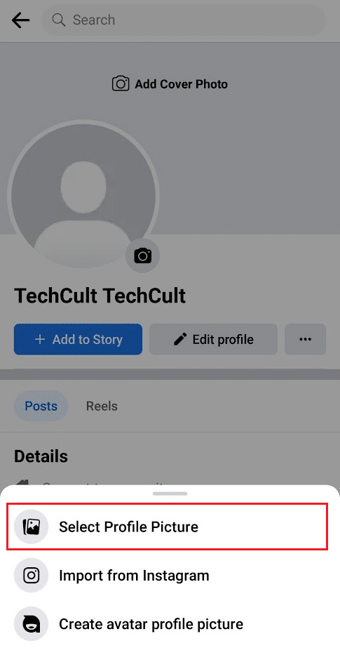 Toque la opción Seleccionar imagen de perfil