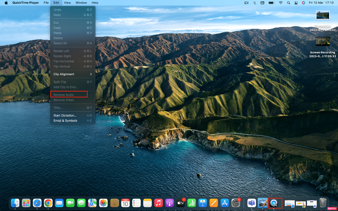 haga clic en eliminar audio |  Cómo grabar en pantalla en Mac