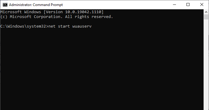 inicio neto wuauserv