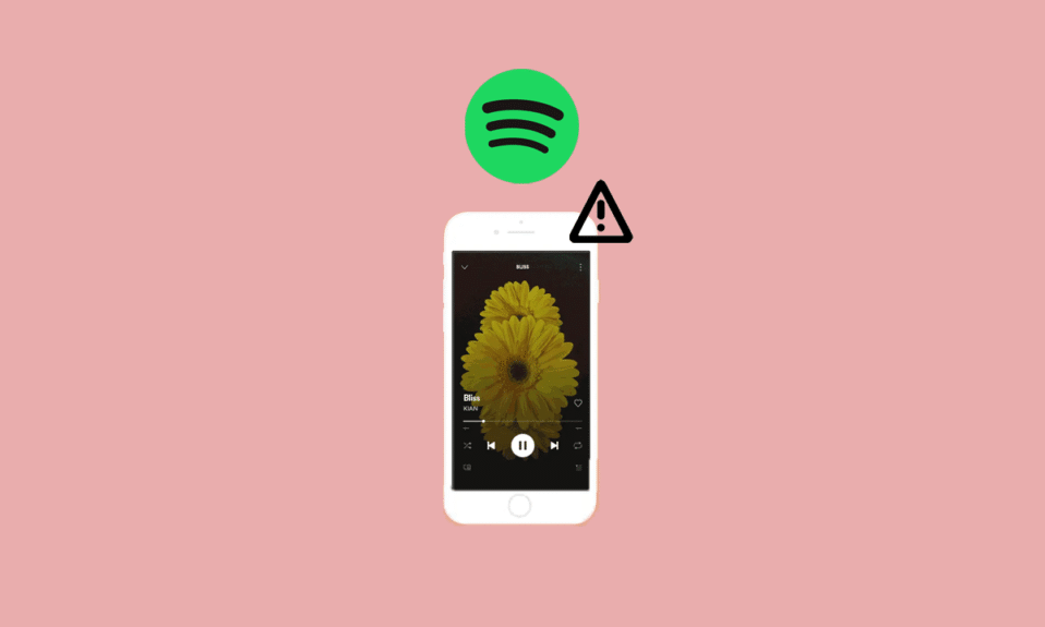 Arreglar el lienzo de Spotify que no se muestra
