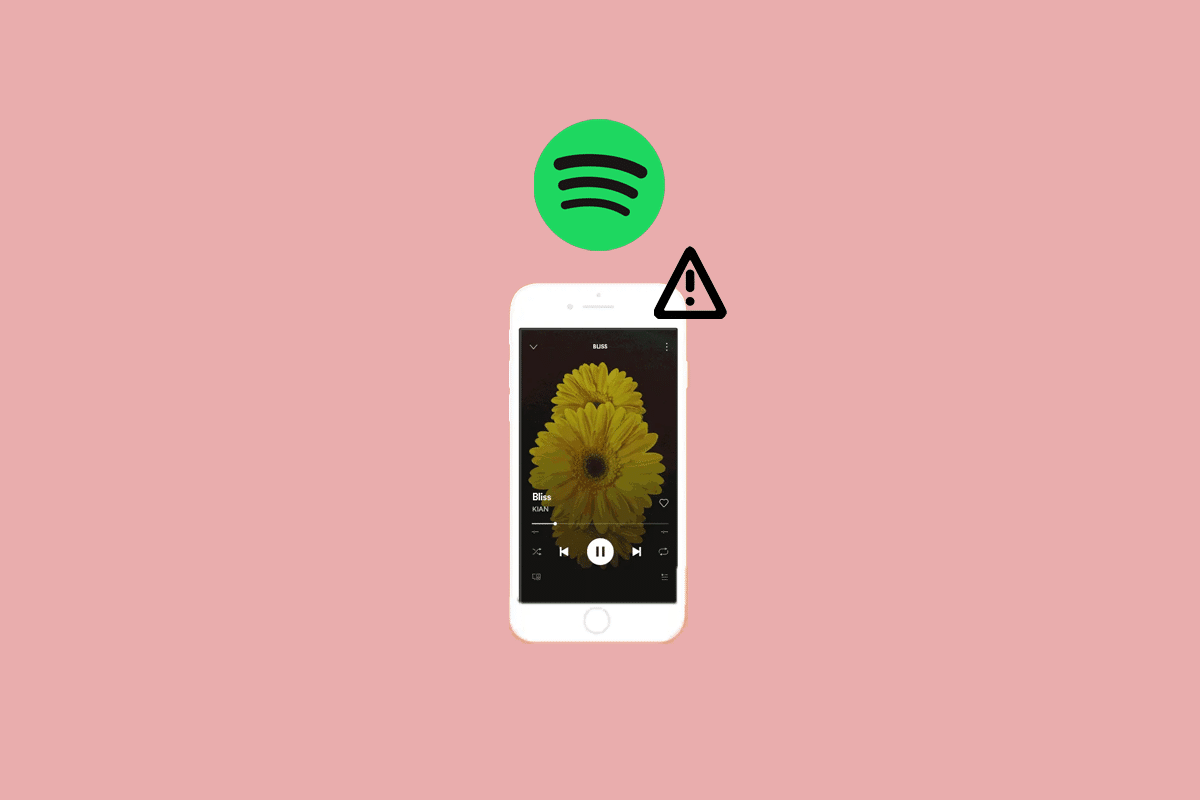 Arreglar el lienzo de Spotify que no se muestra