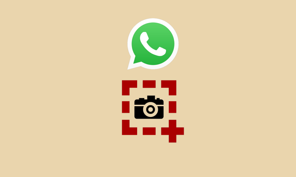 ¿Puedes ver quién capturó tu estado de WhatsApp?