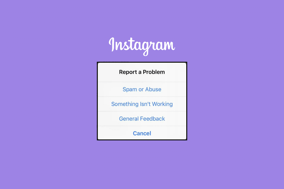 Cómo reportar un problema a Instagram