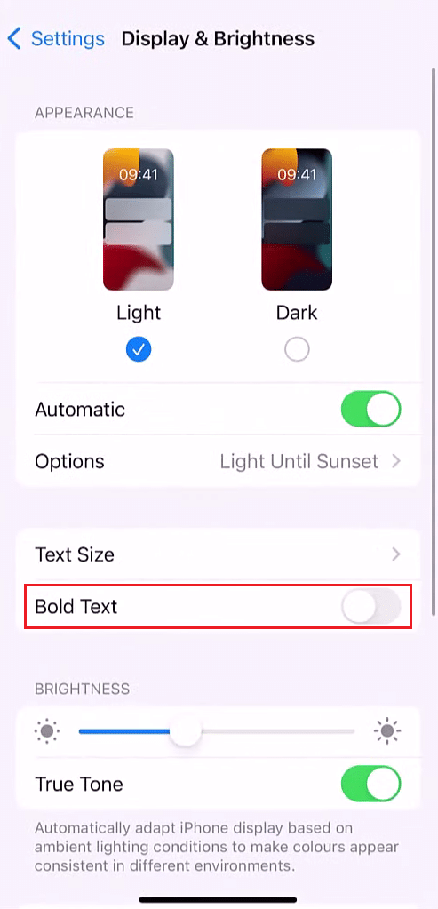 Active la palanca para la opción Texto en negrita | Cómo subrayar texto en iPhone