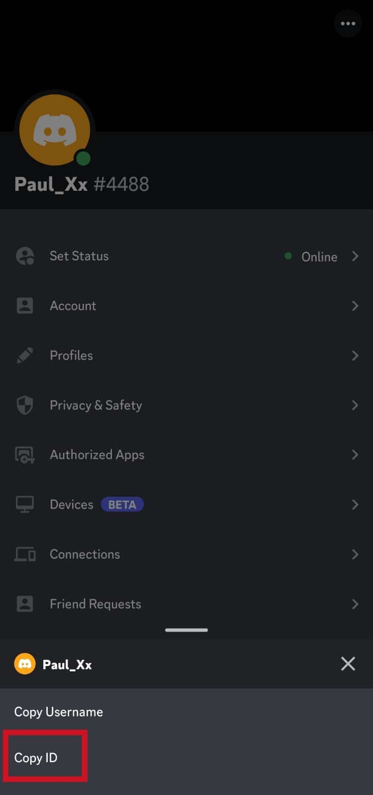Toque la opción Copiar ID