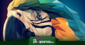 tipos de diseño gráfico