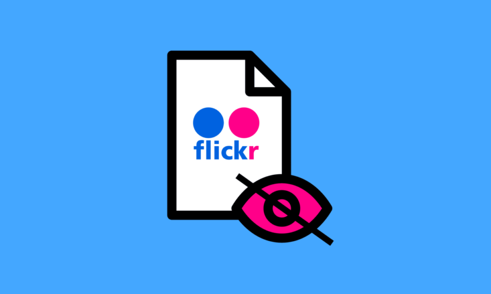 ¿Las fotos de Flickr son privadas?