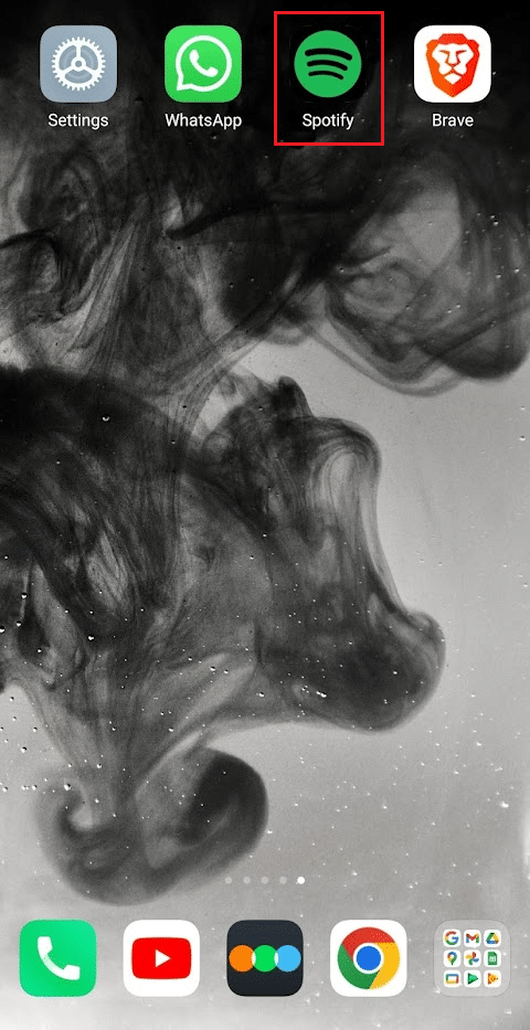 Abre la aplicación de Spotify