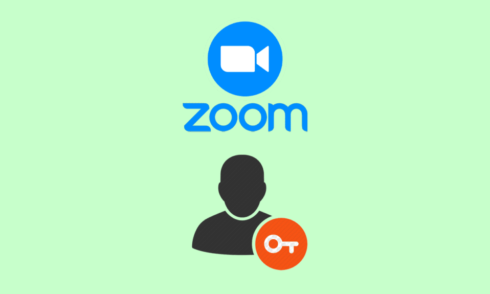 ¿Cómo accedo a mi cuenta de Zoom?