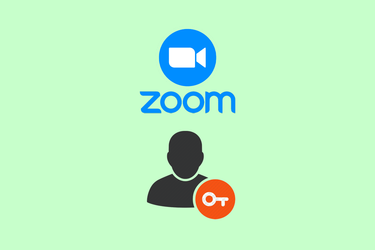 ¿Cómo accedo a mi cuenta de Zoom?
