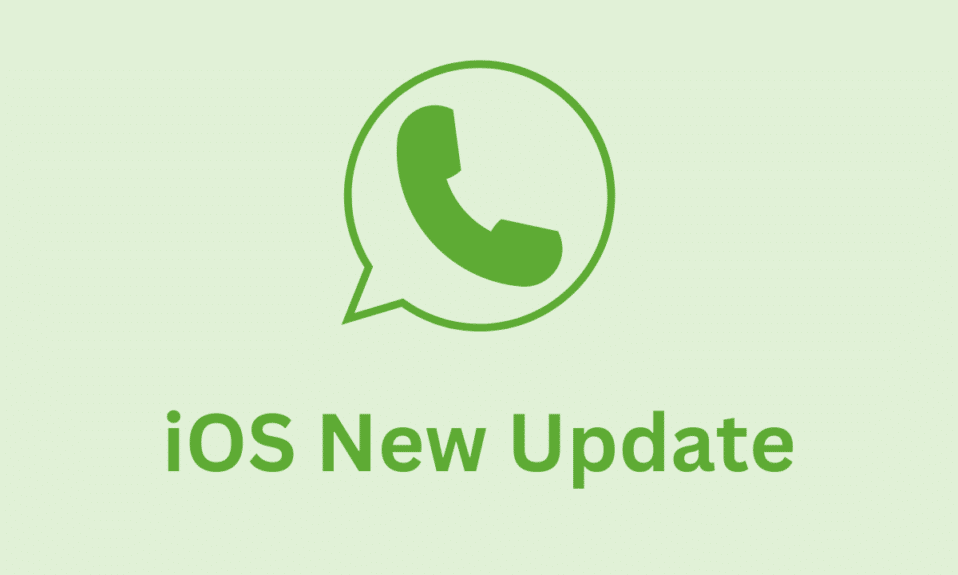 WhatsApp iOS agrega nuevas funciones para limitar las opciones de encuesta y los mensajes de video