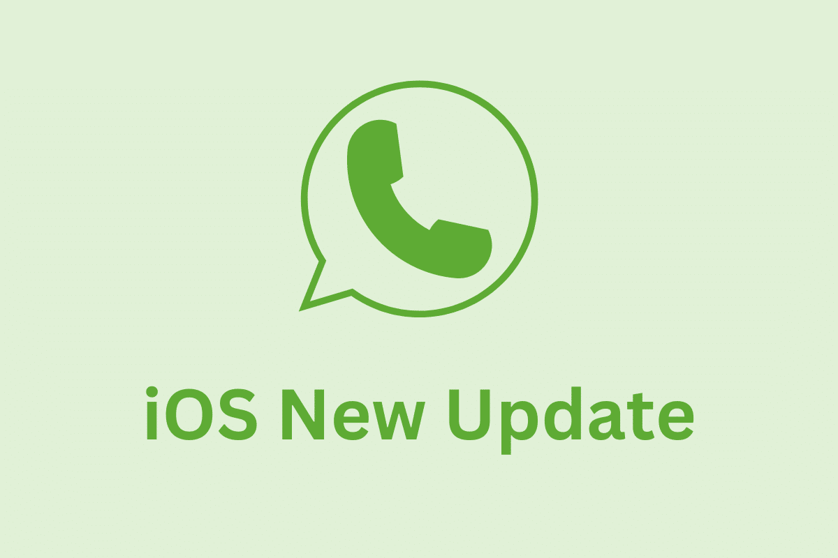 WhatsApp iOS agrega nuevas funciones para limitar las opciones de encuesta y los mensajes de video