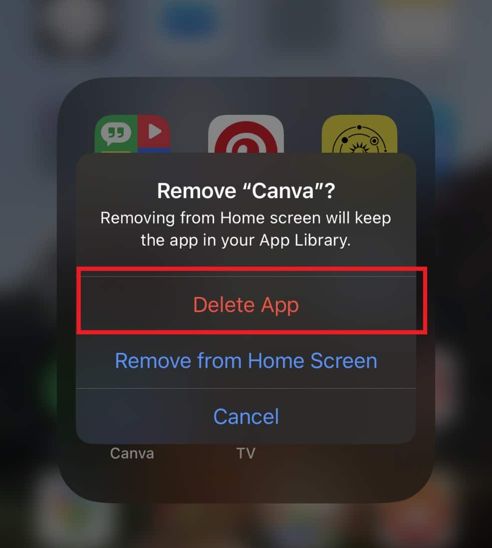 Toque Eliminar aplicación |  Cómo eliminar el historial de descargas de aplicaciones en iPhone 