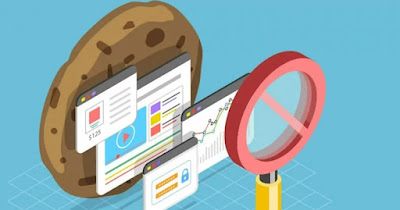 Cookies de navegación web