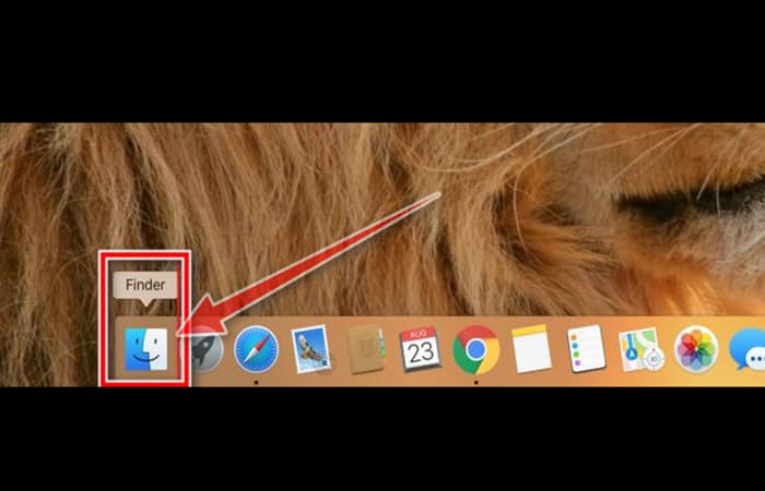 Virus Apple Care Protection Plan