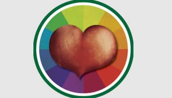 descubriendo la aplicacion de mis emociones