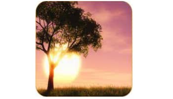 Cómo controlar la ira