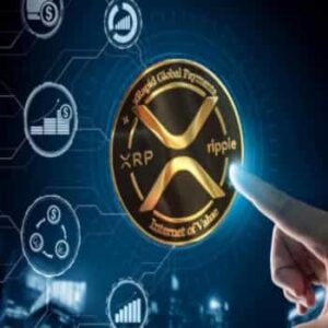 archivos xrp