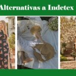 Alternativas a Indetex