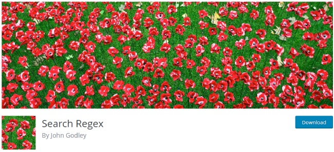 expresión regular de búsqueda